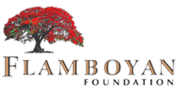 Logo de Flamboyán Foundation